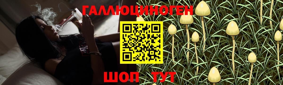 Псилоцибиновые грибы MAGIC MUSHROOMS  Псилоцибиновые грибы GOLDEN TEACHER  Ростов Великий  Вход с VPN 