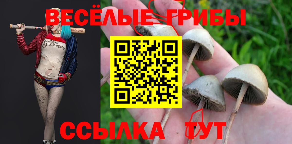 КЕТАМИН Ростов Великий